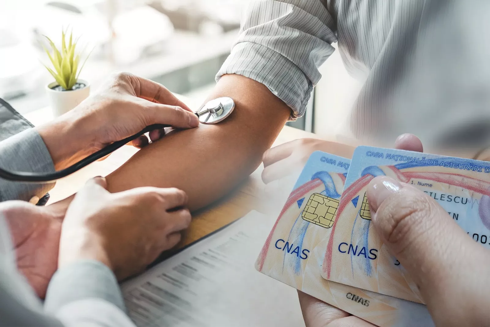 Contract Cnas